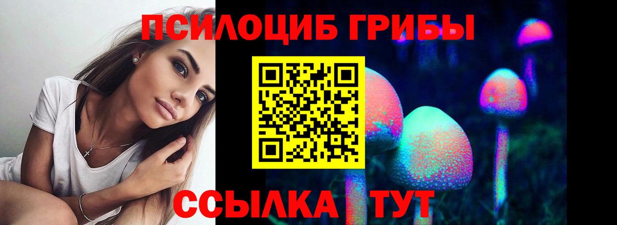 Псилоцибиновые грибы Psilocybine cubensis  Галлюциногенные грибы GOLDEN TEACHER  Вход с VPN  Сорочинск 