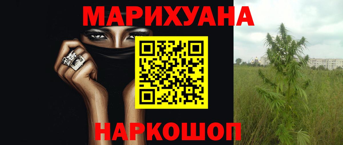 Конопля конопля  Вход с VPN  Бошки Шишки гибрид  Бошки марихуана ГИДРОПОН  Сорочинск 